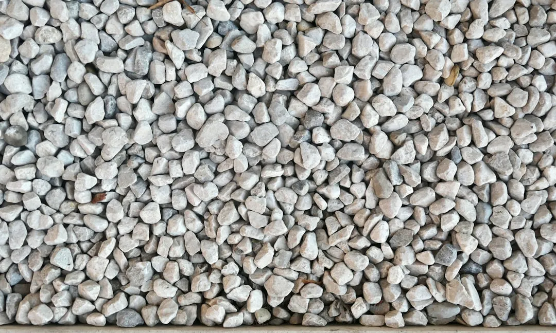 A bunch of rocks that are on the ground
