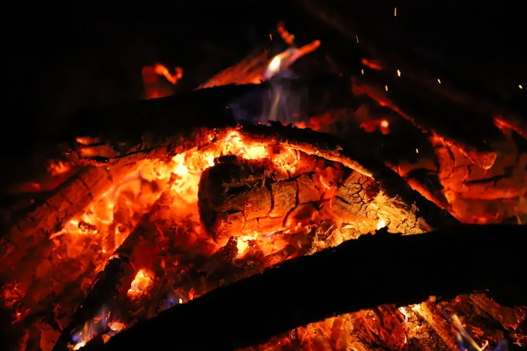 burning wood on fire pit